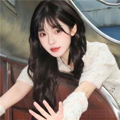 加菲猫2